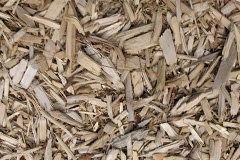 biomass boilers Tynyfedw